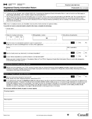 cra charity return